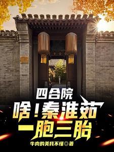 老四合院图