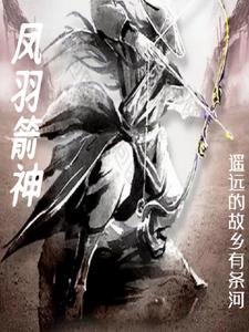 箭羽风息武器