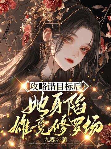 攻略错误by