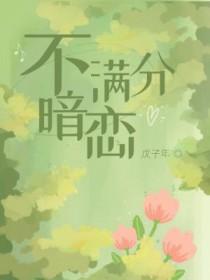 满分暗恋袖刀