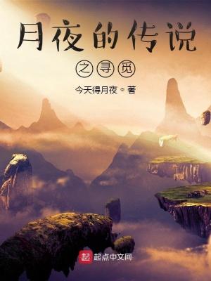 月夜传说礼包码