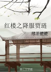 红楼之贾琏攻略女主