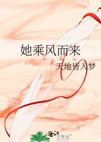 乘风而来随风而去