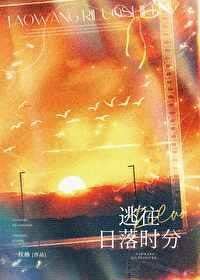逃往日落时分池半夏贺初衍