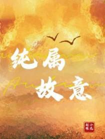 纯属故意番外