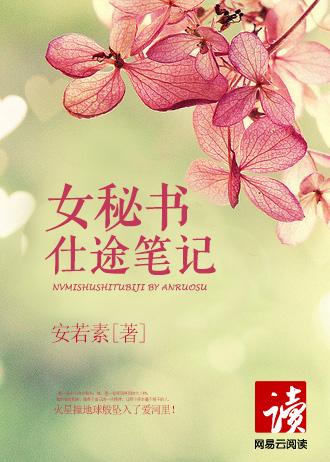 女书记的仕途