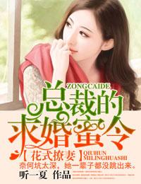 总裁的花式追妻