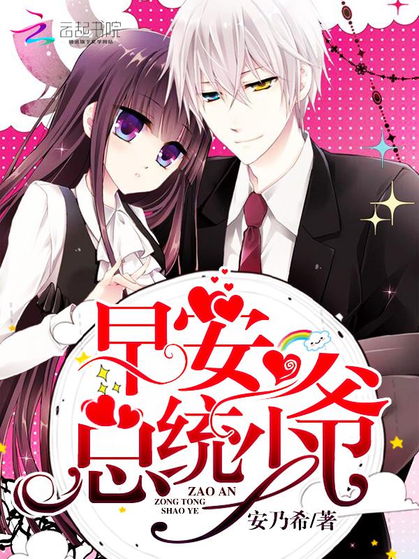总统大人完整版