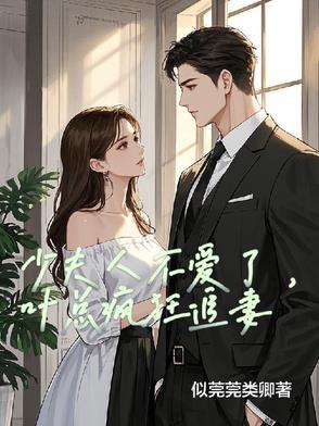 少夫人她又美又飒全文免费阅读叶海棠