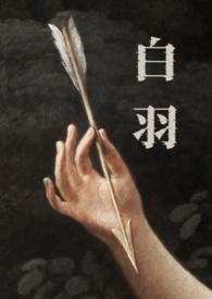 白羽全文阅读