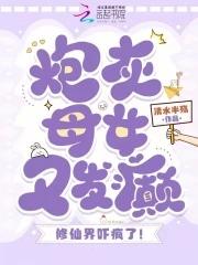炮灰的母亲快穿