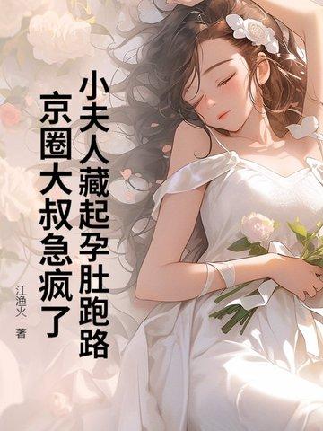 小夫人晋江