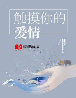 触碰你是什么歌