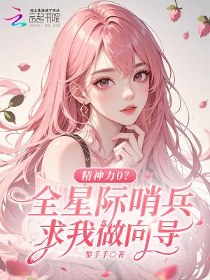 星际哨兵向导的