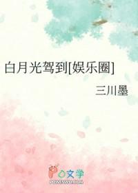 韩娱白月光驾到全文免费阅读