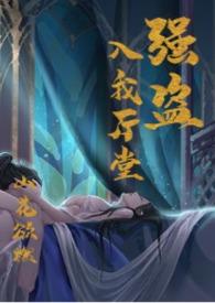 强盗意思