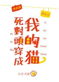 死对头变成了我的猫
