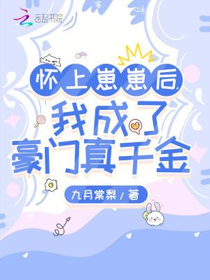 怀崽后我在豪门为所欲为免费阅读