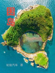 困岛救援后续