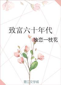 六十年代小富即安