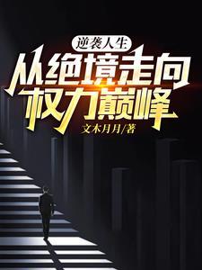 王洪涛权力巅峰绝境逆袭免费阅读