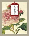 几度夕阳红剧情简介
