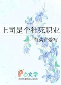 上司是指