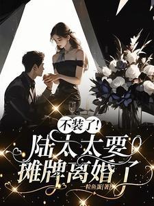 陆太太又在闹离婚了呆呆