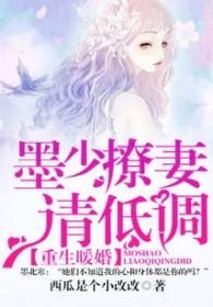 重生暖婚墨少