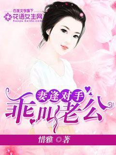 妻逢对手 txt