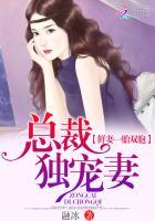 一胎双胞总裁宠妻无度免费读