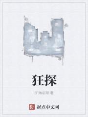 狂探讲的是什么