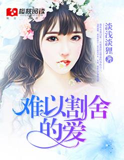 难以割舍的爱攻略