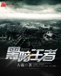 黑暗王者顶点无弹窗