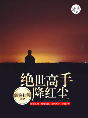 绝世高手视频