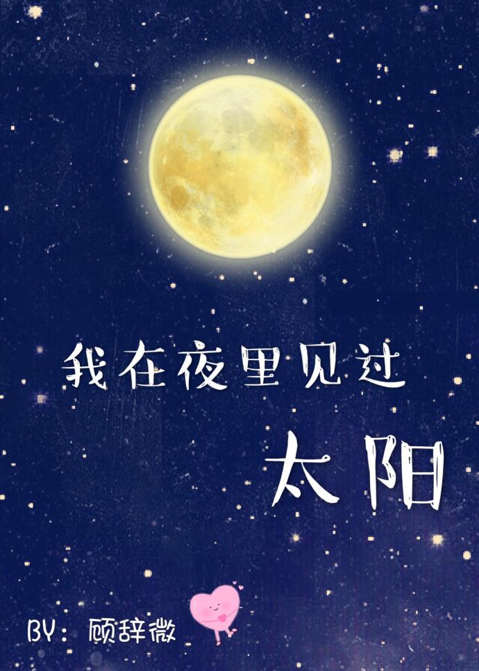 我在夜里见过太阳英语