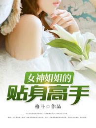 女神的贴身高手多少集完结