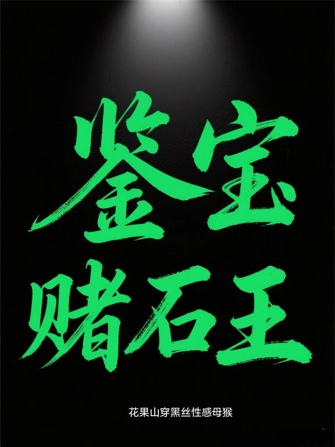 鉴宝赌石王陈林