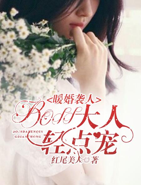 暖婚轻宠妻全文免费阅读