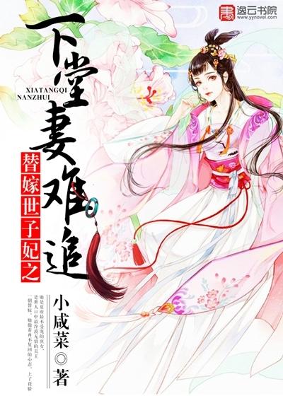 替嫁世子妃之下堂妻难追宫心月
