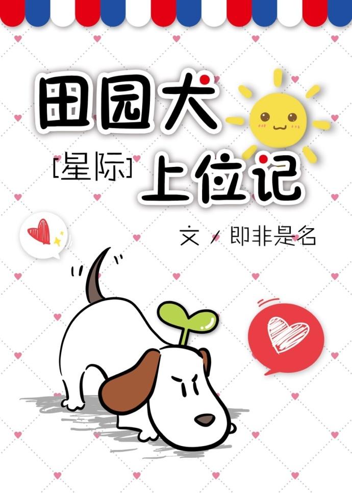 田园犬优点缺点