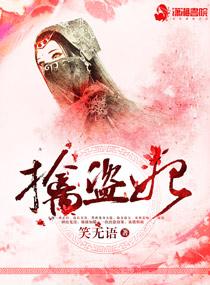 擒盗妃百度