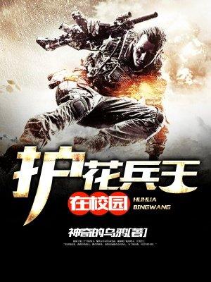 护花兵王