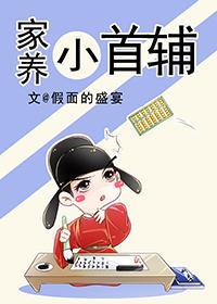 家养小首辅pan