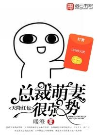 天降萌宝总裁宠妻太给力免费阅读