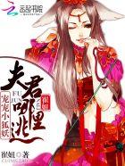夫君宠你手机书包网
