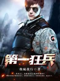 第一狂兵陈战全文阅读