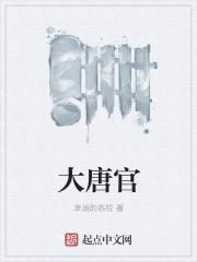 大唐官府怎么加点?