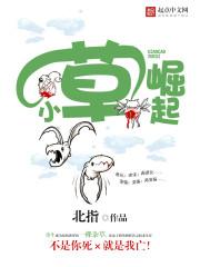 小草zip