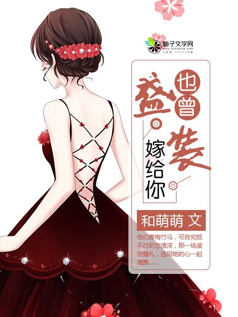 曾予盛装嫁于你